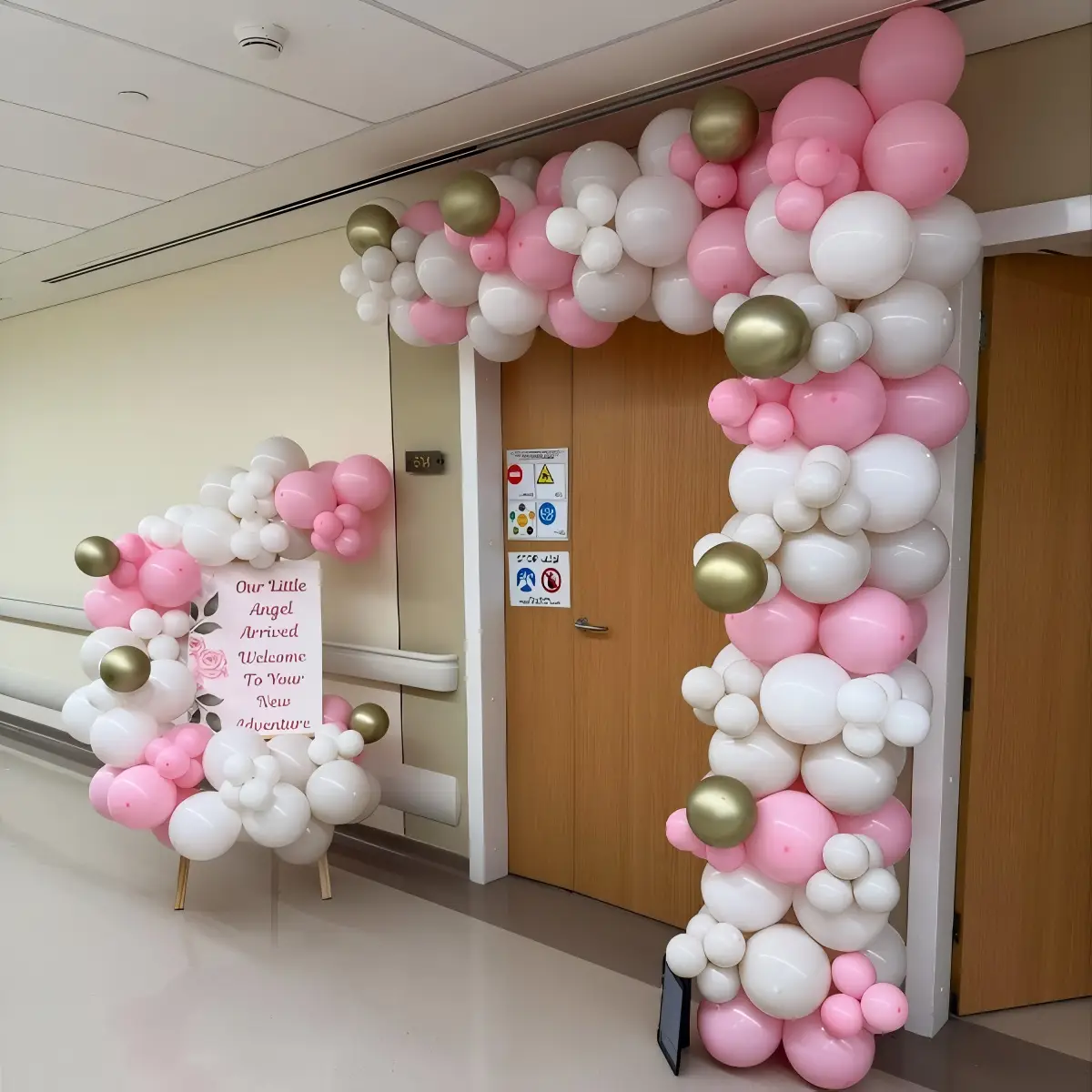 Little Princess is Here Balloon Arch