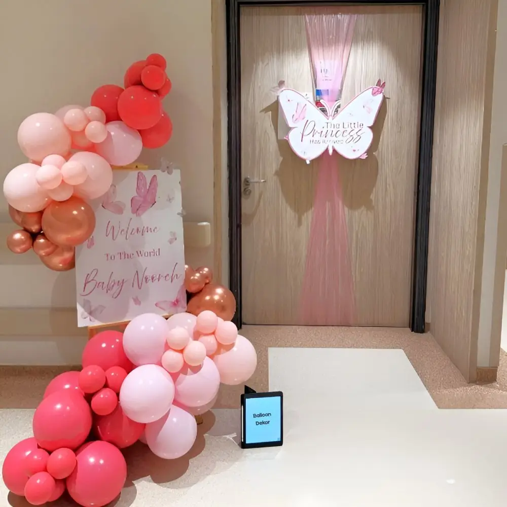 Butterfly Theme Welcome Baby Balloon Set